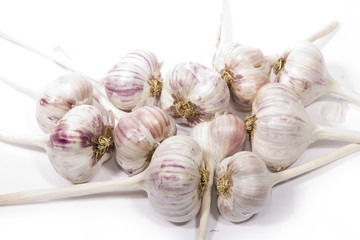 garlic