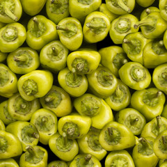 Seamless green paprika (capsicum) pattern