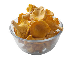 Chanterelles