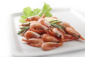 Shrimps