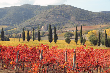 Panele Szklane Podświetlane  fantastyczny krajobraz toskańskich winnic jesienią
