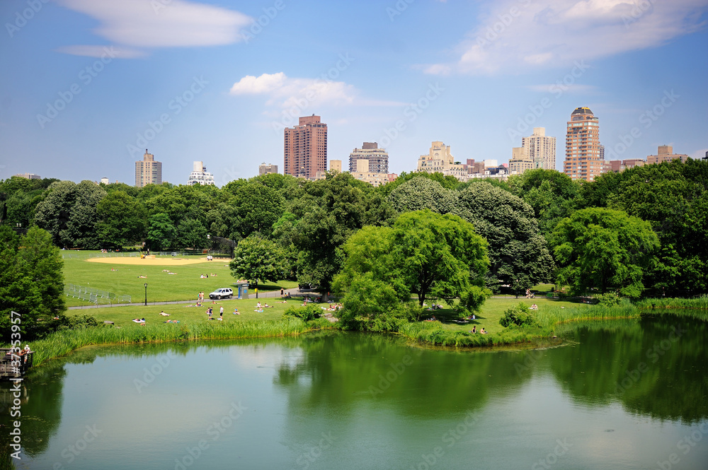 Wall mural a pond in new york city central park in summer