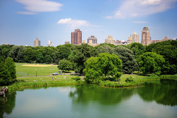 A pond in New York City Central Park in summer