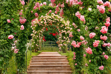 Naklejka premium Schody w ogrodzie różanym