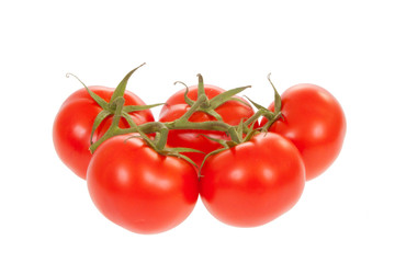 Five ripe trusse tomatoes isolated over white with clipping path