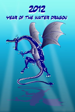 36+ 2012 ano del dragon de agua 2012 year of the water dragon ideas
