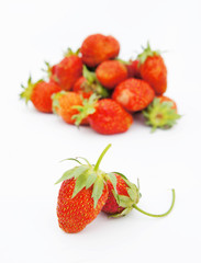 Large strawberries on a white background