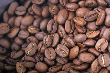 coffee beans