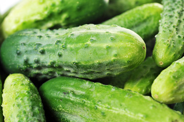 green cucumbers.
