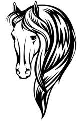 beautiful horse vector illustration