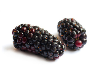Black Berries on white