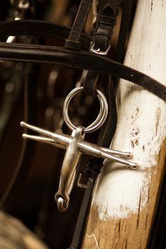 Horse Bit Ring