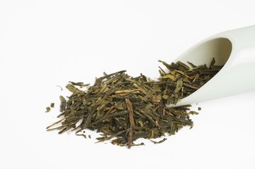 Sencha © darknightsky