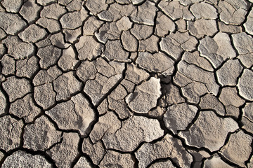 Cracked lifeless soil