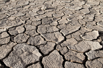Cracked lifeless soil