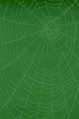 Obraz premium Netzwerk