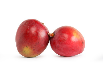 Two Mango