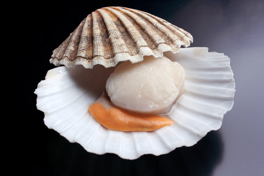 Cappesanta