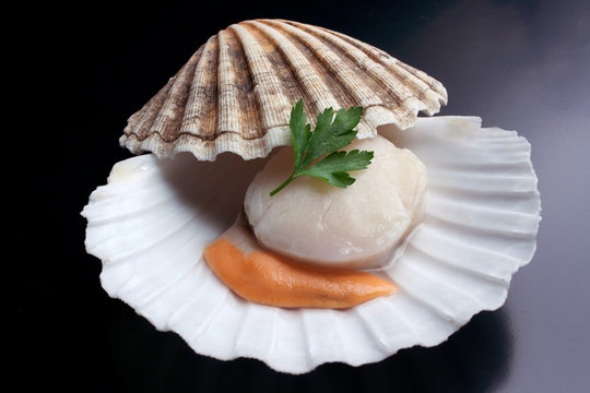Cappesanta