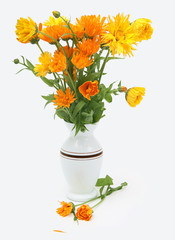 Bouquet of calendula flowers in a white vase