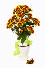 Bouquet of chrysanthemums in a white vase
