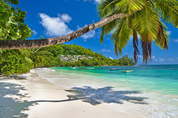 tranquil Seychelles beches - obrazy, fototapety, plakaty