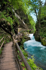 Vintgar gorge and wood path at Ble - Slovenia