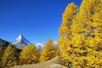 Zermatt, Matterhorn, Wallis, Schweiz, Europa