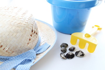 Summer recreation, clam hunting