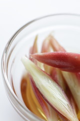 Japanese ginger, pickled myoga