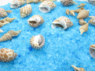 Obraz na płótnie Canvas spa sea shells and salt