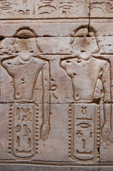 Egyptian engraved on wall in Kom Ombo temple, Egypt
