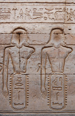 Egyptian engraved image on wall in Kom Ombo temple, Egypt
