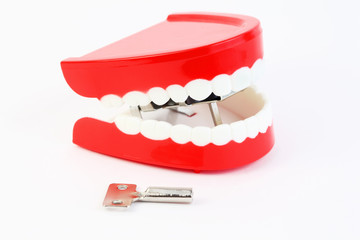 small toy jaw with white teeth swallowed mechanism on white