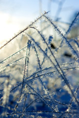 Winter in the finland