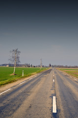 Fototapeta premium Narrow paved and patched road. agricultural fields