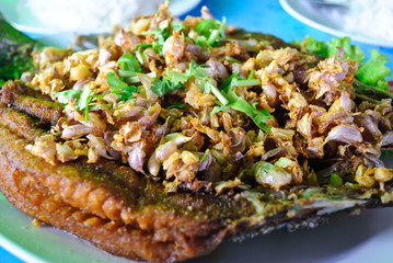 sea bass fried with garlic