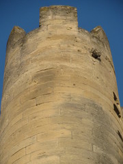 cite des papes