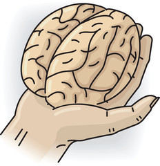 Hand holds the small brain