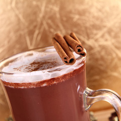 Cup of hot chocolate with cinnamon sticks
