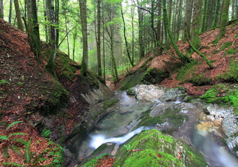 ruisseau, parc naturel régional de chartreuse
