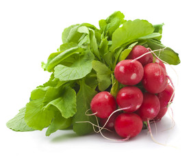 Fresh radishes on a white background