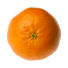 Clementine from top