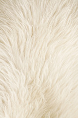 Furry white background