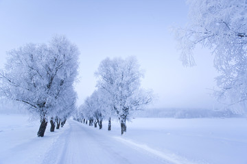 Winter in the finland