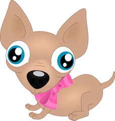 Щенок чихуахуа с бантом