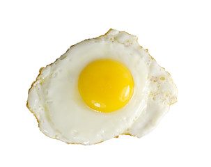 Fried Egg