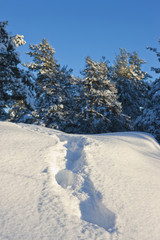 Winter in the finland