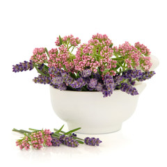 Valerian and Lavender Herb Flowers