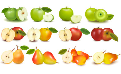 Set of red and green apple fruits with cut and pears.